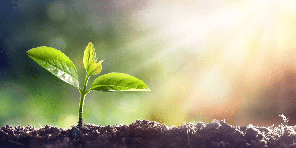 7 Langkah Spiritual Growth Efektif untuk Gen Z