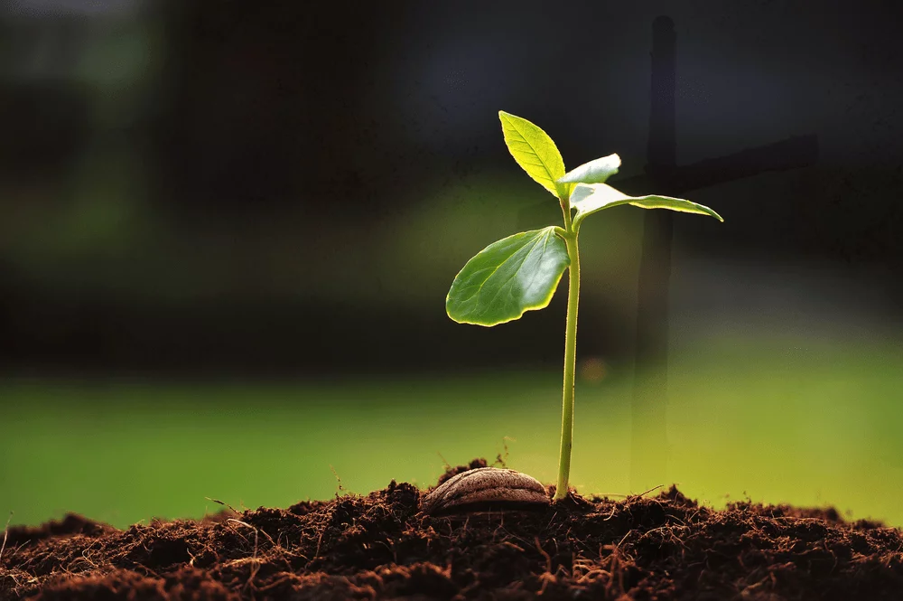7 Langkah Spiritual Growth Efektif untuk Gen Z